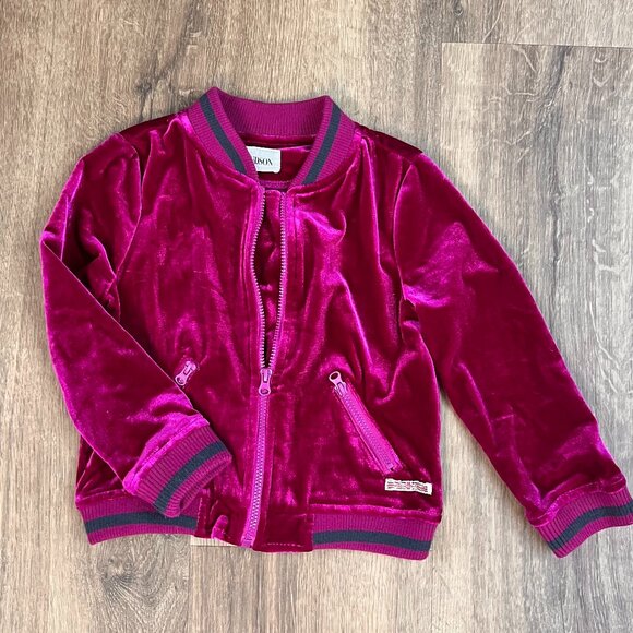 Hudson Pink Velour Infant Girl Track Jacket Full-Zip Baby Size 24M - Picture 1 of 10